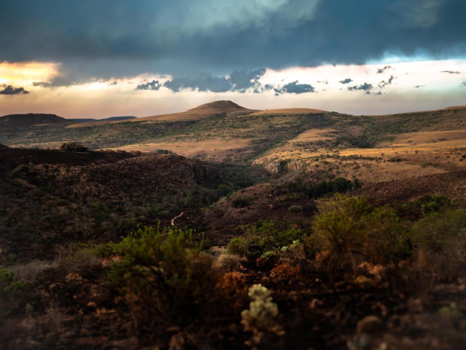 Riverbed Africa Lydenburg Bilik gambar