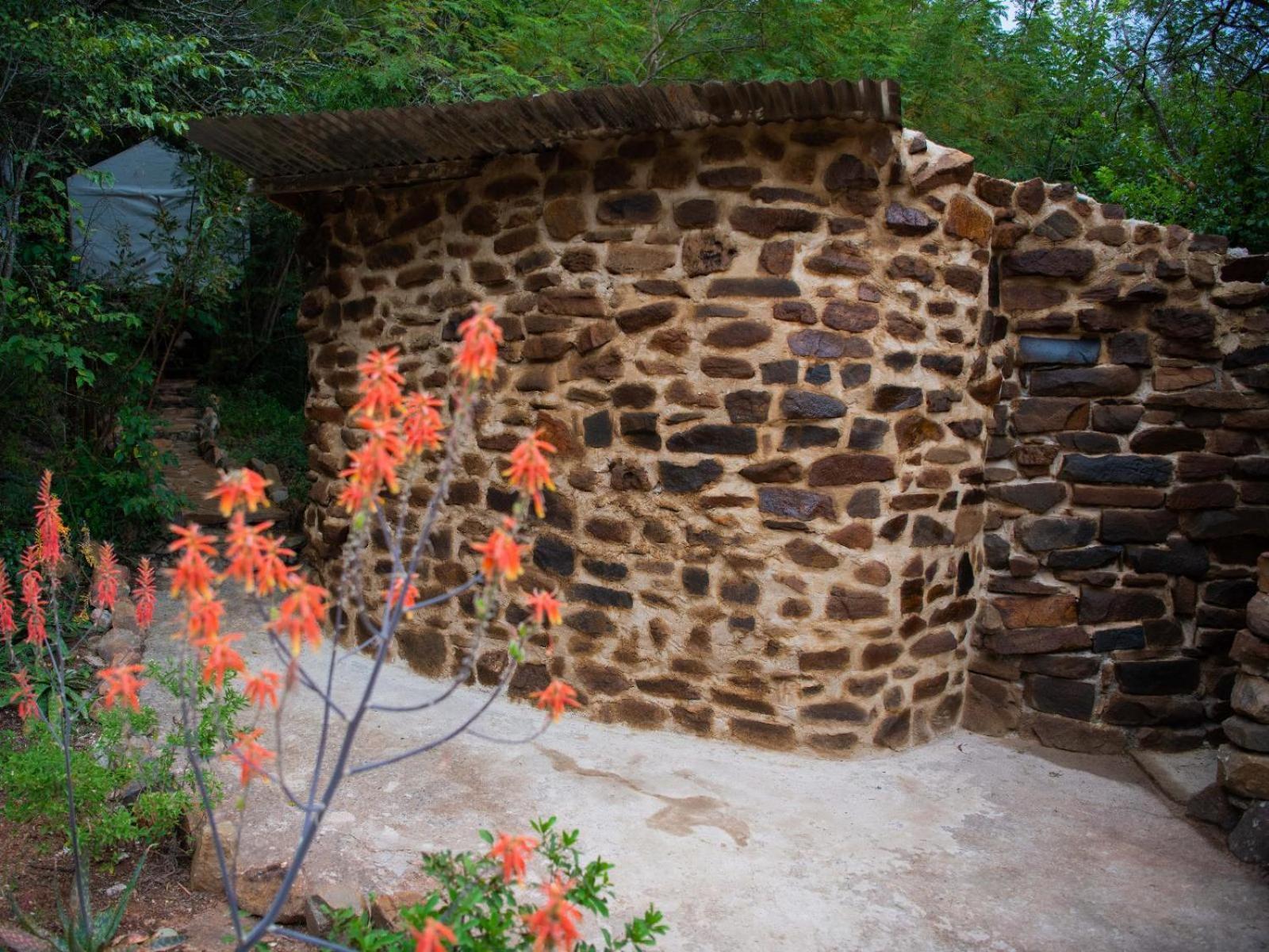 Riverbed Africa Lydenburg Luaran gambar