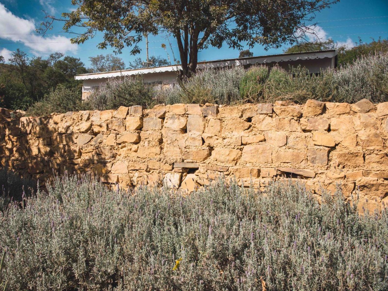 Riverbed Africa Lydenburg Luaran gambar