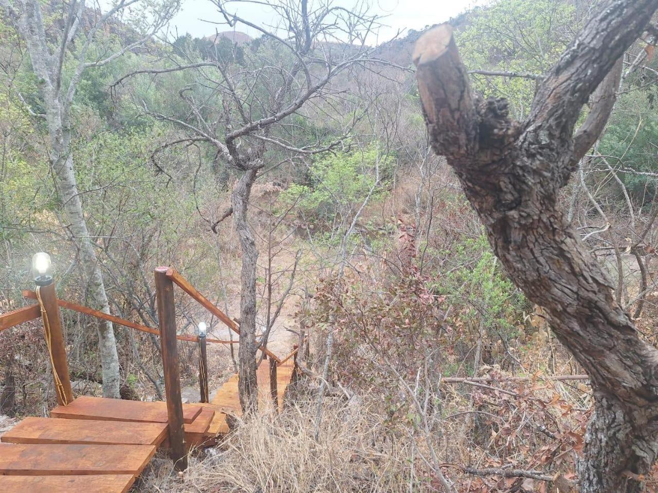 Riverbed Africa Lydenburg Bilik gambar