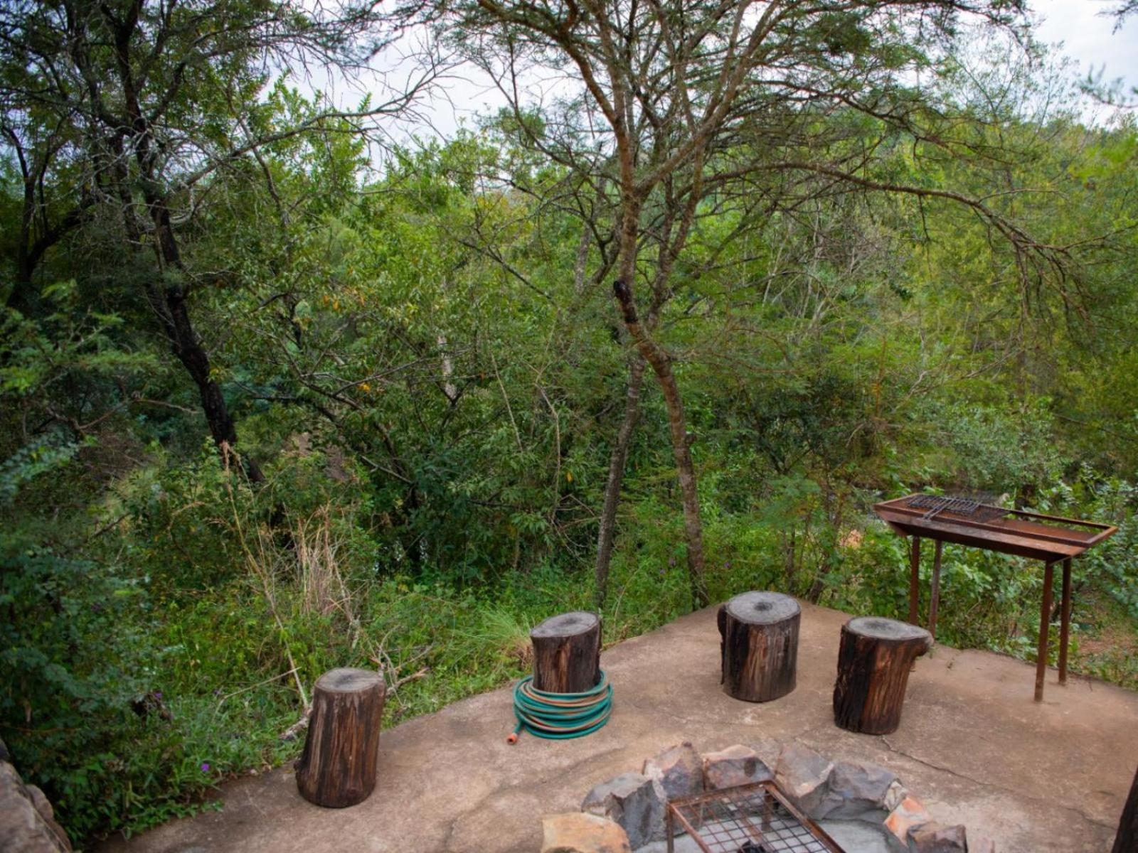 Riverbed Africa Lydenburg Bilik gambar