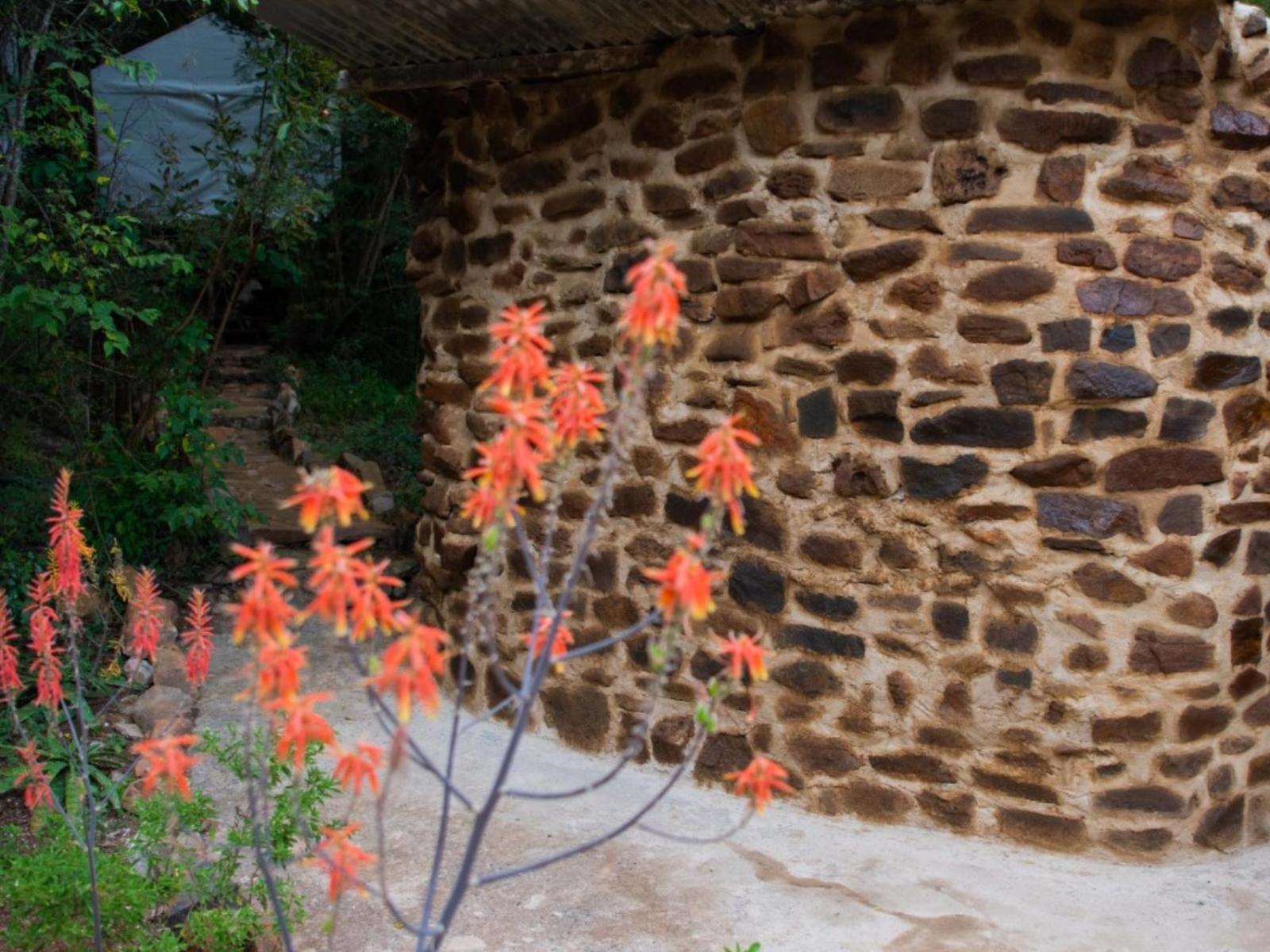 Riverbed Africa Lydenburg Luaran gambar
