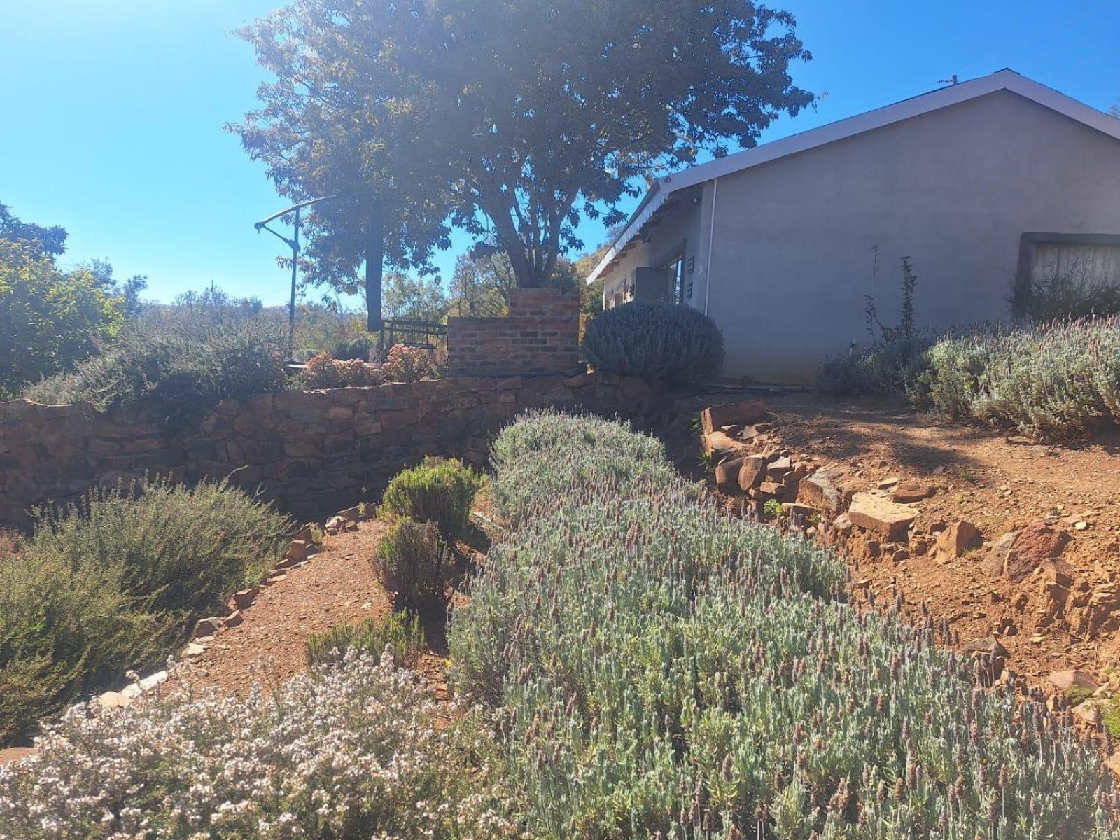 Riverbed Africa Lydenburg Bilik gambar