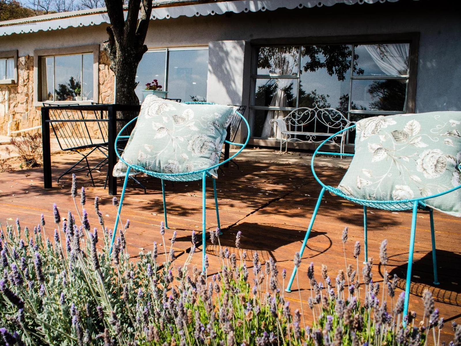 Riverbed Africa Lydenburg Luaran gambar